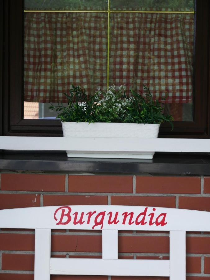 Niewinne Domki - Burgundia Żywiec Extérieur photo